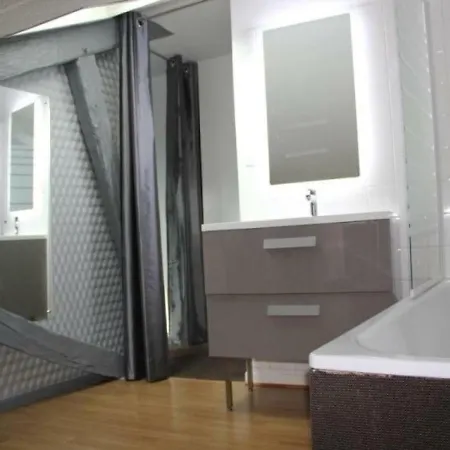 House Le Sainte Cecile * Albi